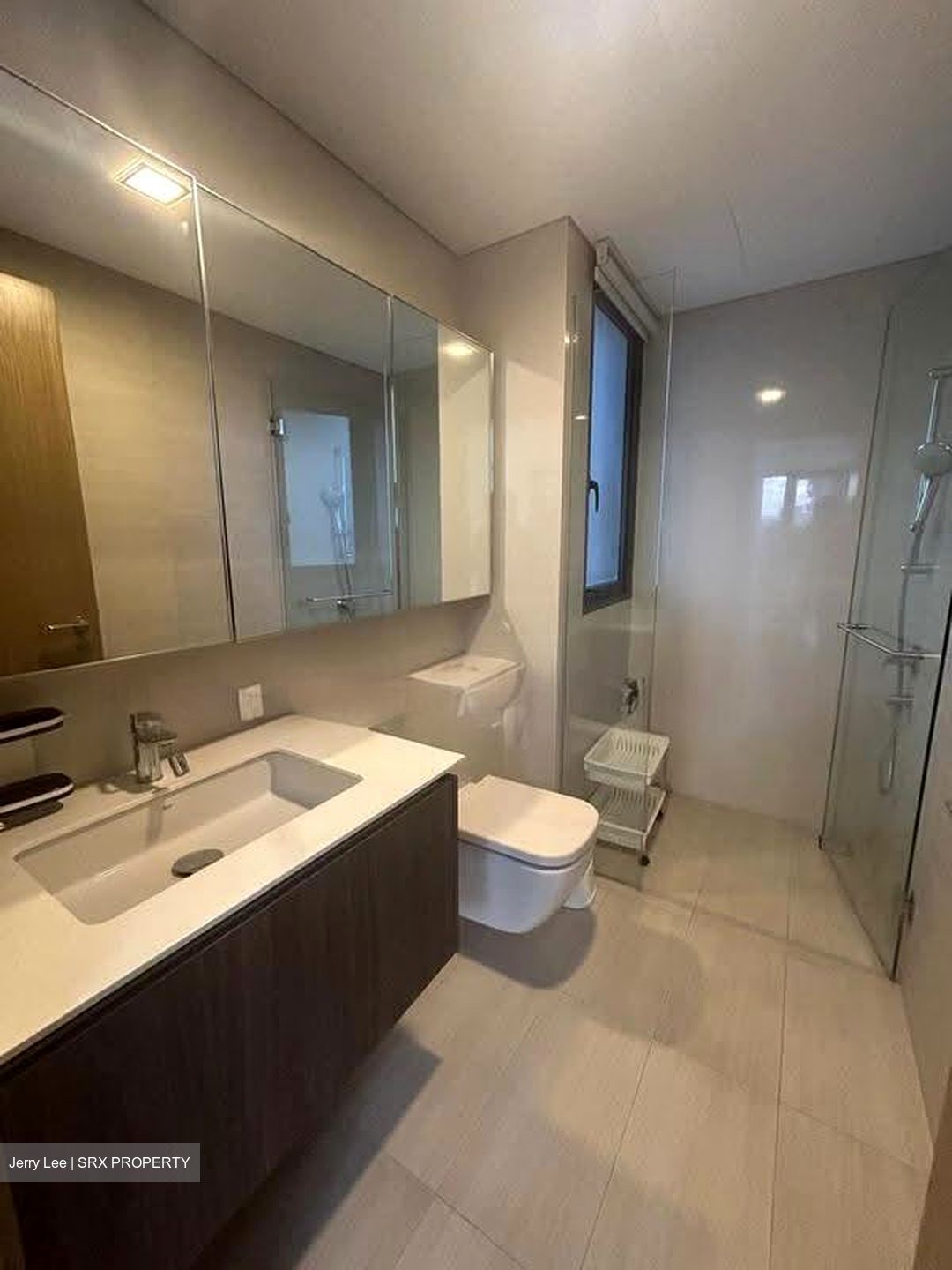 Lakeville (D22), Condominium #637791261